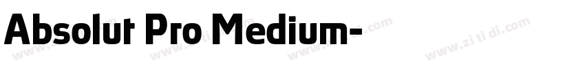 Absolut Pro Medium字体转换
